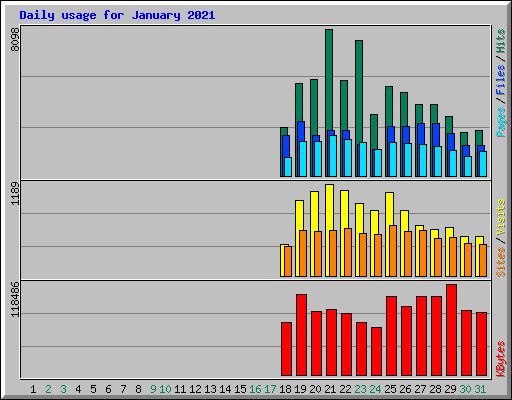 Daily usage for January 2021