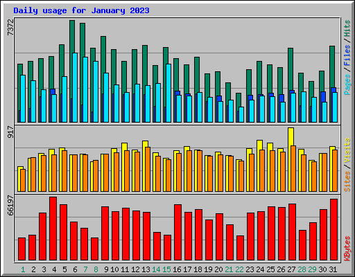 Daily usage for January 2023