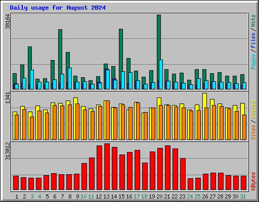 Daily usage for August 2024