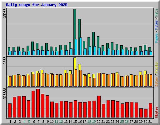 Daily usage for January 2025