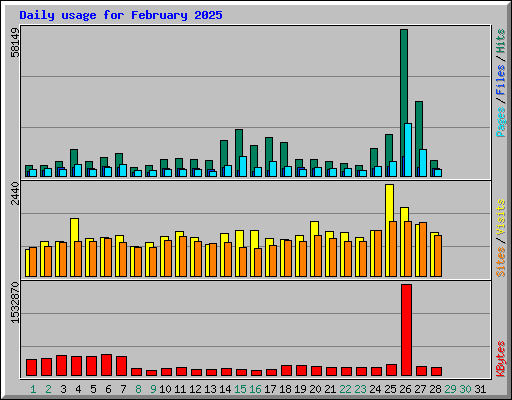 Daily usage for February 2025