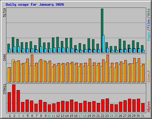 Daily usage for January 2026