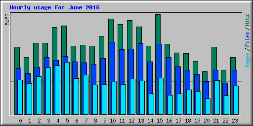 Hourly usage for June 2016