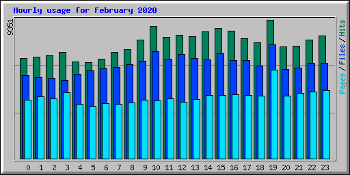 Hourly usage for February 2020