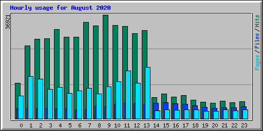 Hourly usage for August 2020