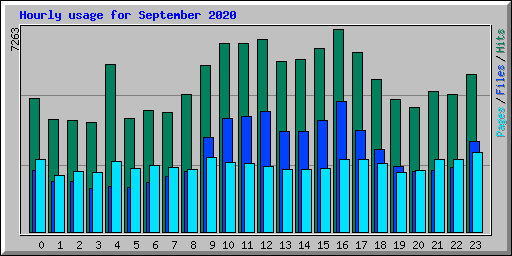 Hourly usage for September 2020