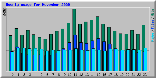 Hourly usage for November 2020