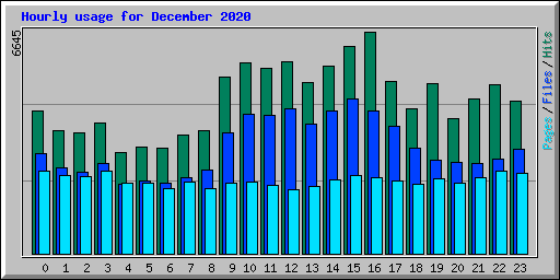 Hourly usage for December 2020