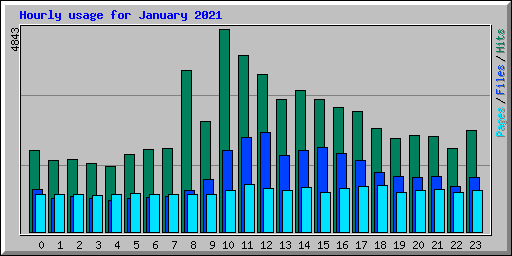 Hourly usage for January 2021