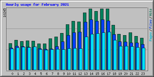 Hourly usage for February 2021