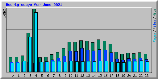 Hourly usage for June 2021