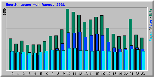 Hourly usage for August 2021