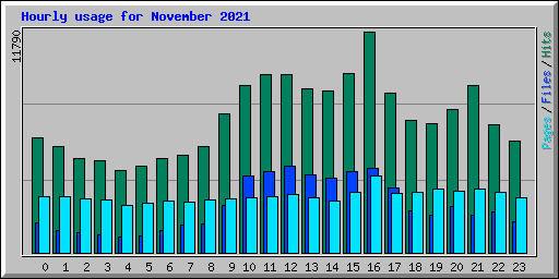 Hourly usage for November 2021