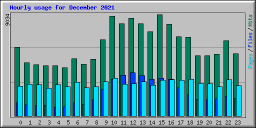 Hourly usage for December 2021