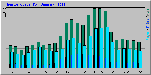 Hourly usage for January 2022