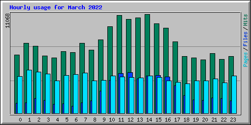 Hourly usage for March 2022