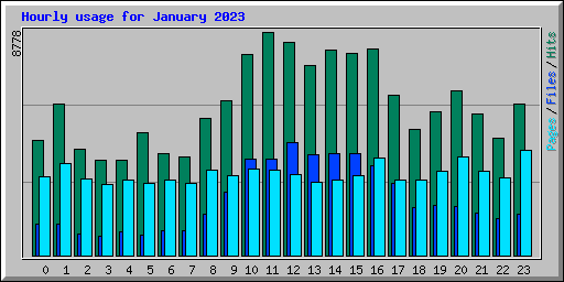 Hourly usage for January 2023