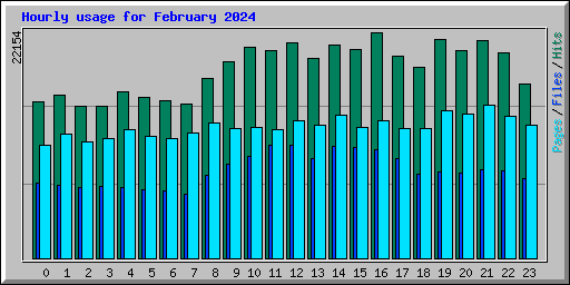 Hourly usage for February 2024