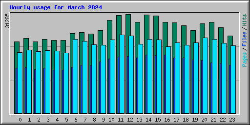 Hourly usage for March 2024