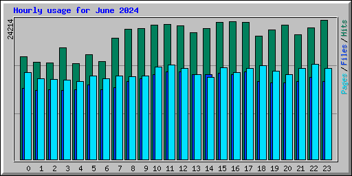 Hourly usage for June 2024