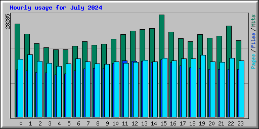 Hourly usage for July 2024