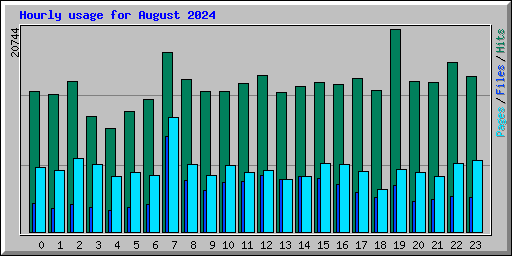 Hourly usage for August 2024