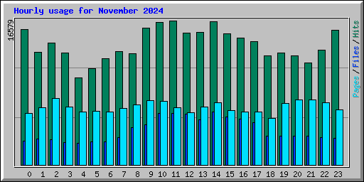 Hourly usage for November 2024