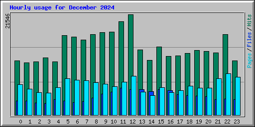 Hourly usage for December 2024