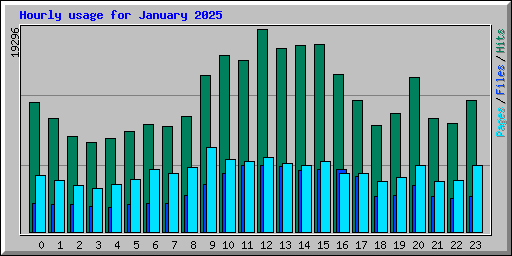 Hourly usage for January 2025