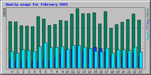 Hourly usage for February 2025