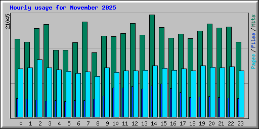 Hourly usage for November 2025