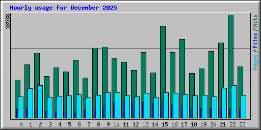 Hourly usage for December 2025