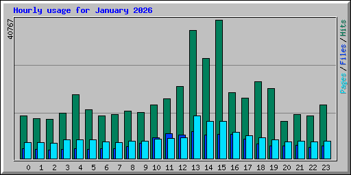 Hourly usage for January 2026